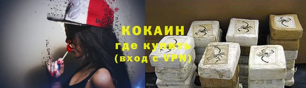 шишки Балахна